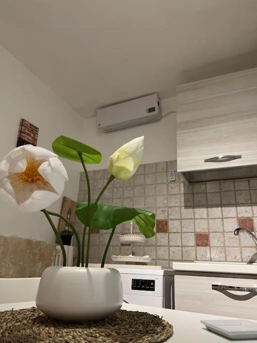 Casa Vacanze “Da Concetta” Bari Exteriér fotografie